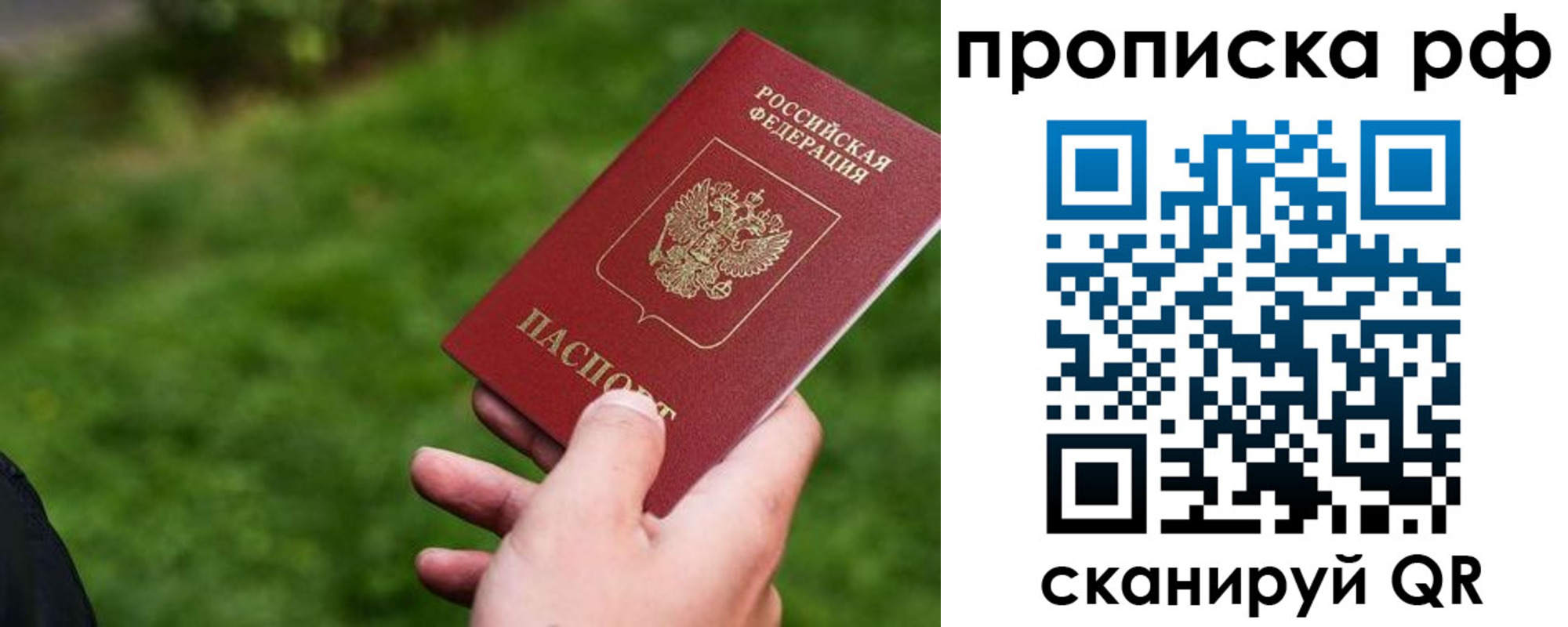 прописка для работы в Яхроме